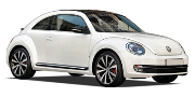 Beetle